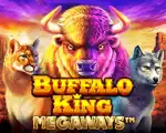 Buffalo King Megaways